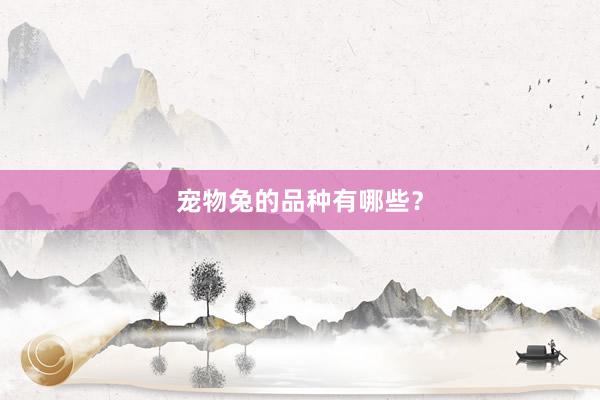宠物兔的品种有哪些?
