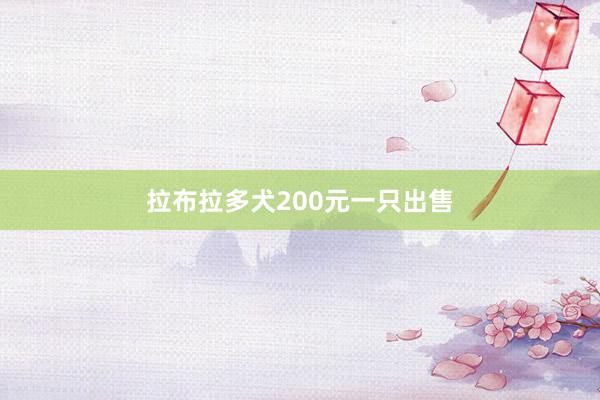 拉布拉多犬200元一只出售