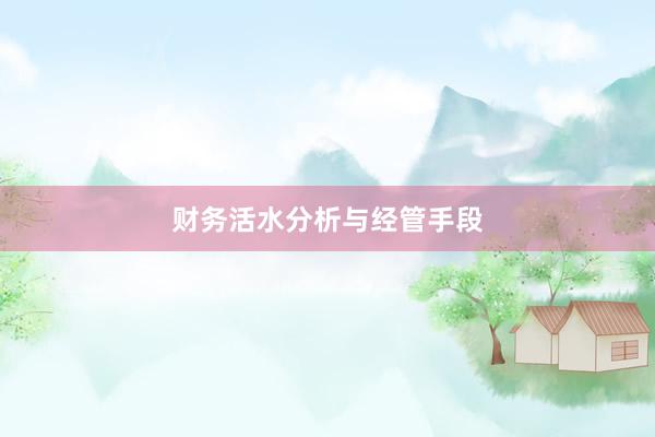 财务活水分析与经管手段