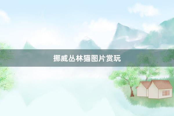 挪威丛林猫图片赏玩